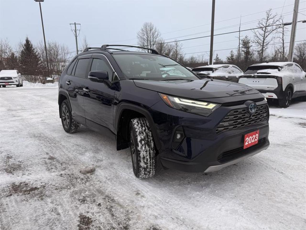 2023 Toyota RAV4 Hybrid Limited AWD Photo