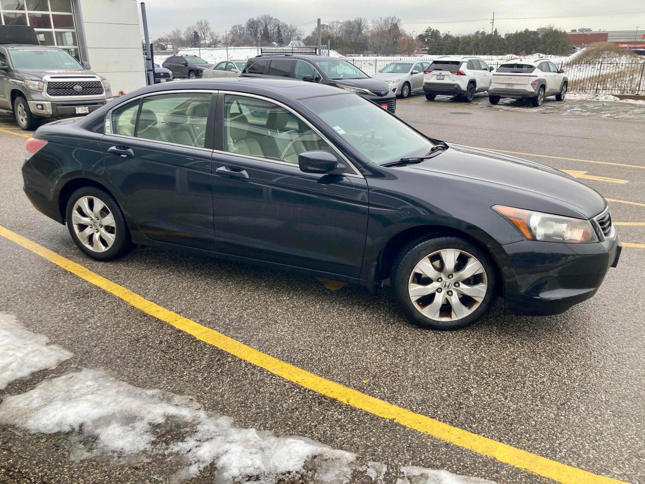 2008 Honda Accord EX-L Photo