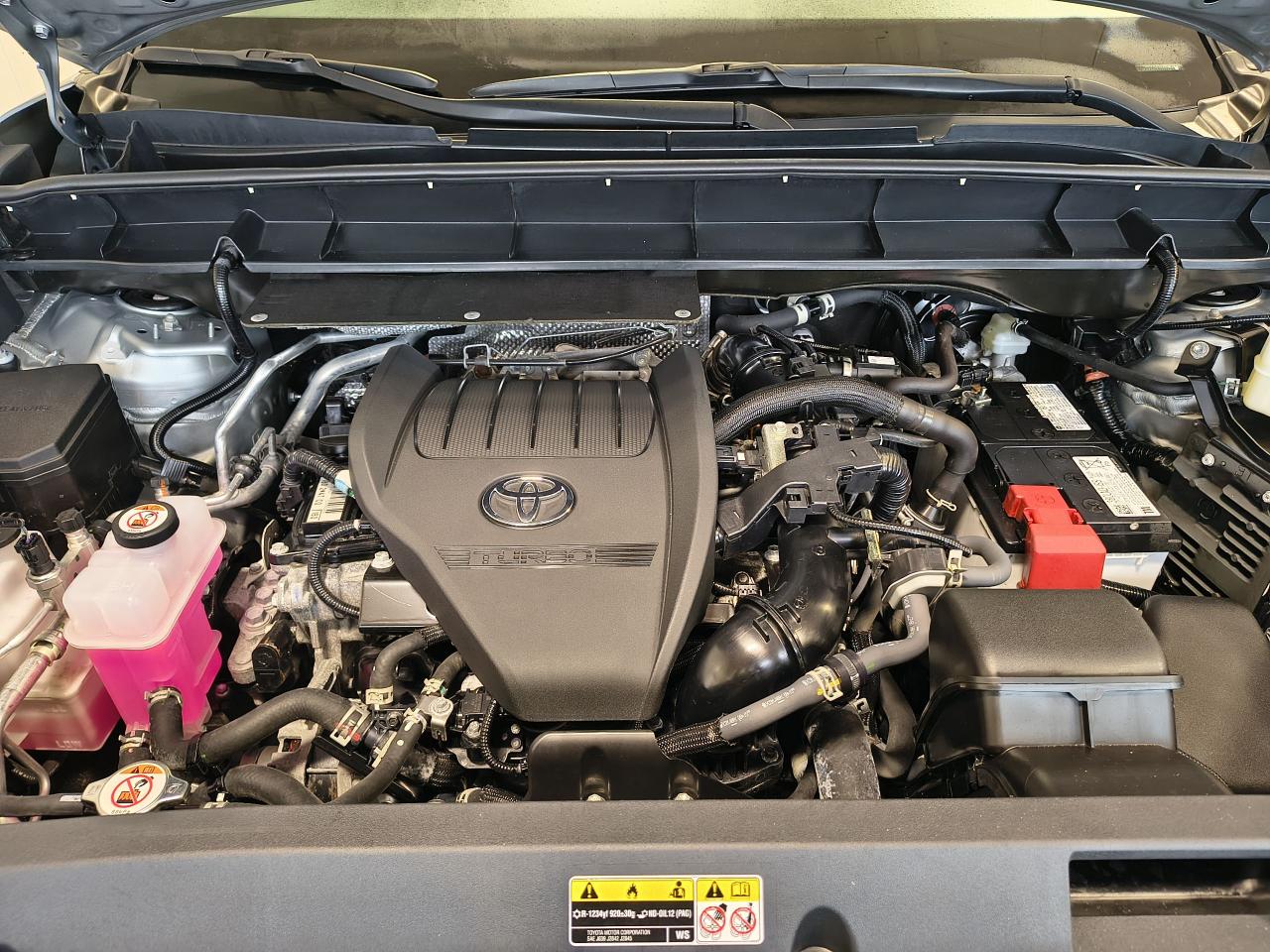 2024 Toyota Highlander XLE AWD Photo3