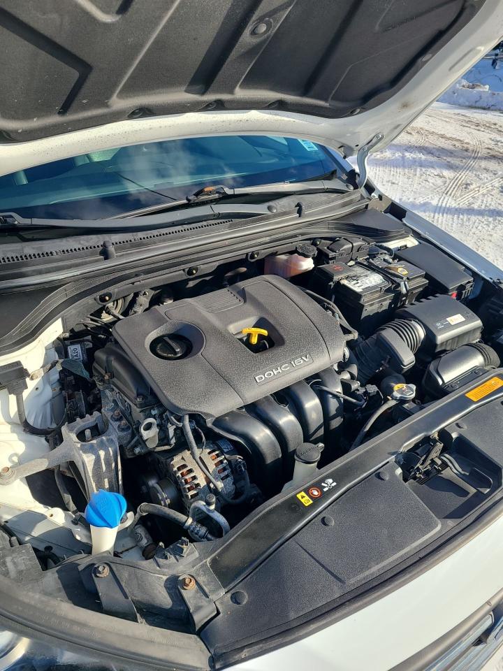 2017 Hyundai Elantra Limited - Photo #10