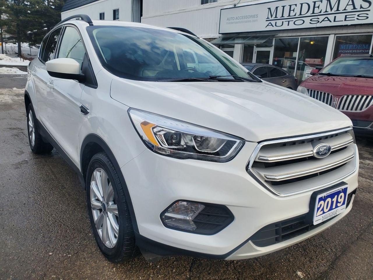 2019 Ford Escape SEL Photo