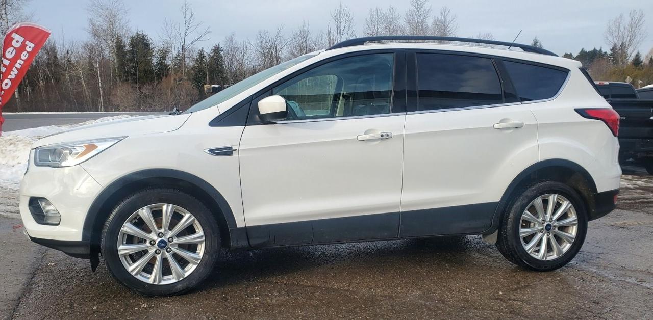 2019 Ford Escape SEL Photo3