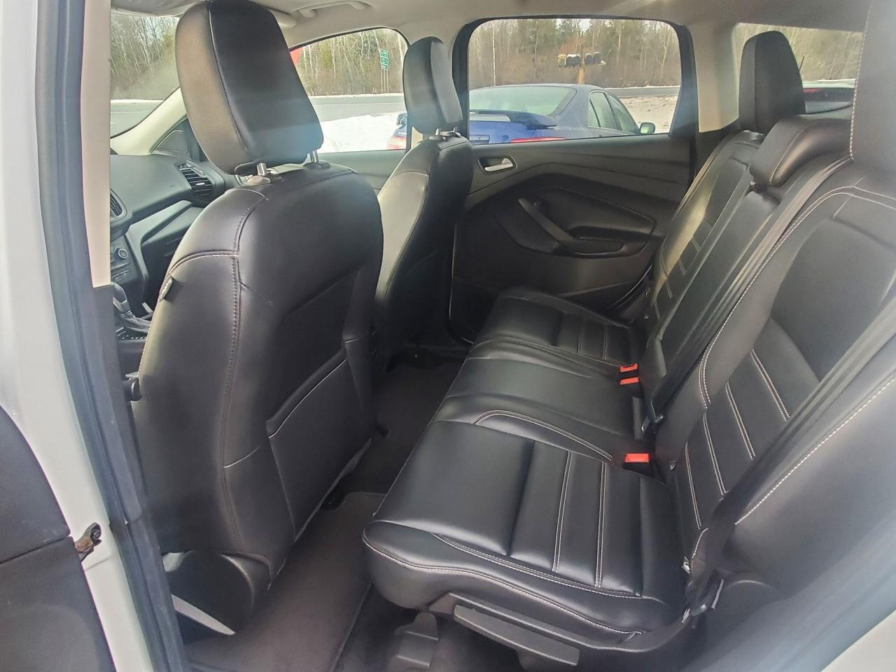 2019 Ford Escape SEL Photo