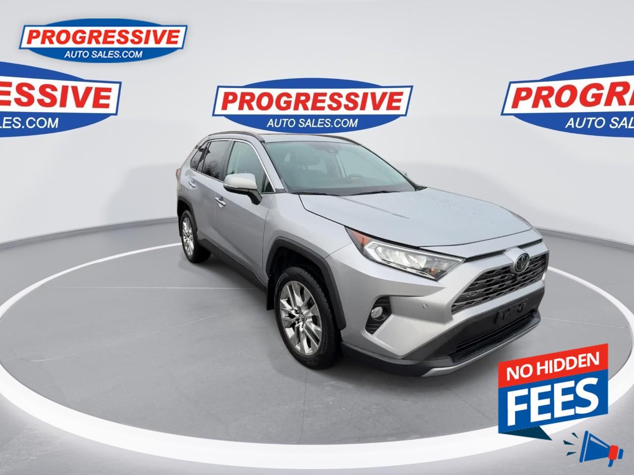 2019 Toyota RAV4 LIMITED  Photo
