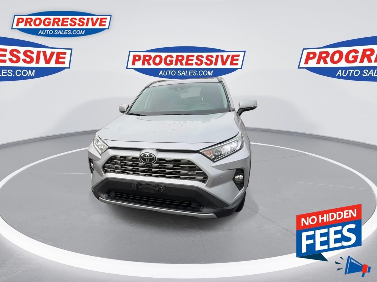 2019 Toyota RAV4 LIMITED  Photo