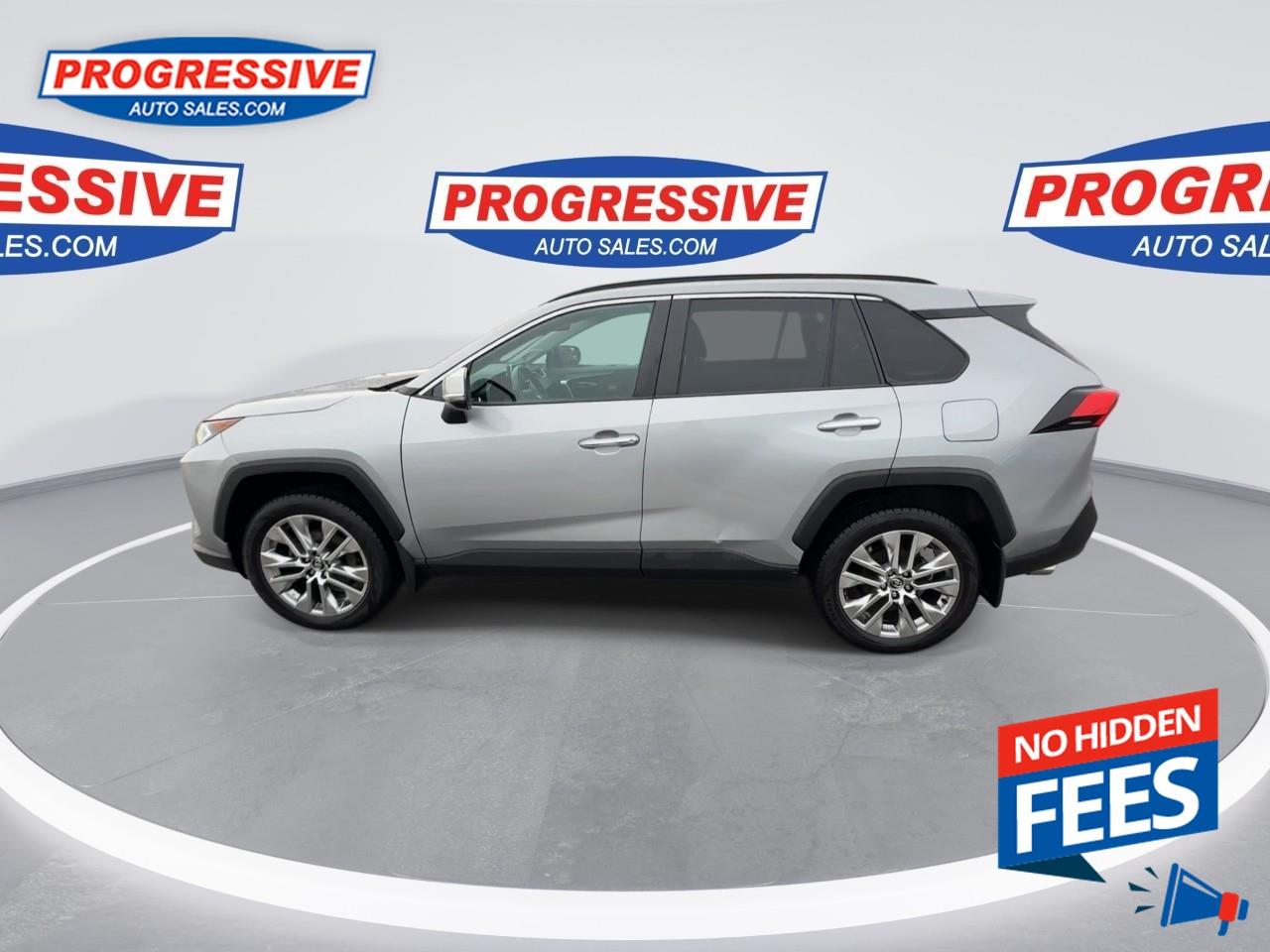 2019 Toyota RAV4 LIMITED  Photo