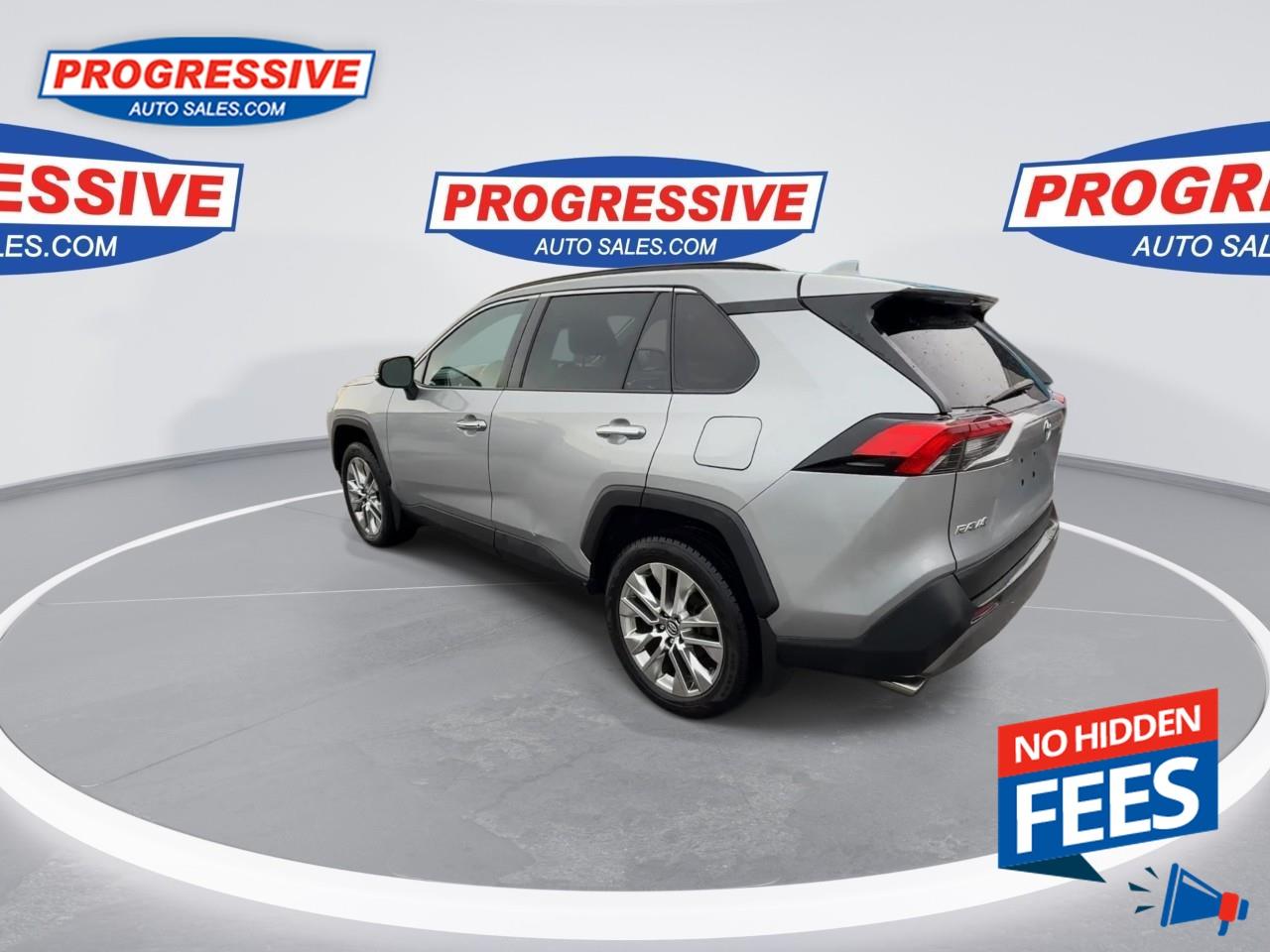 2019 Toyota RAV4 LIMITED  Photo