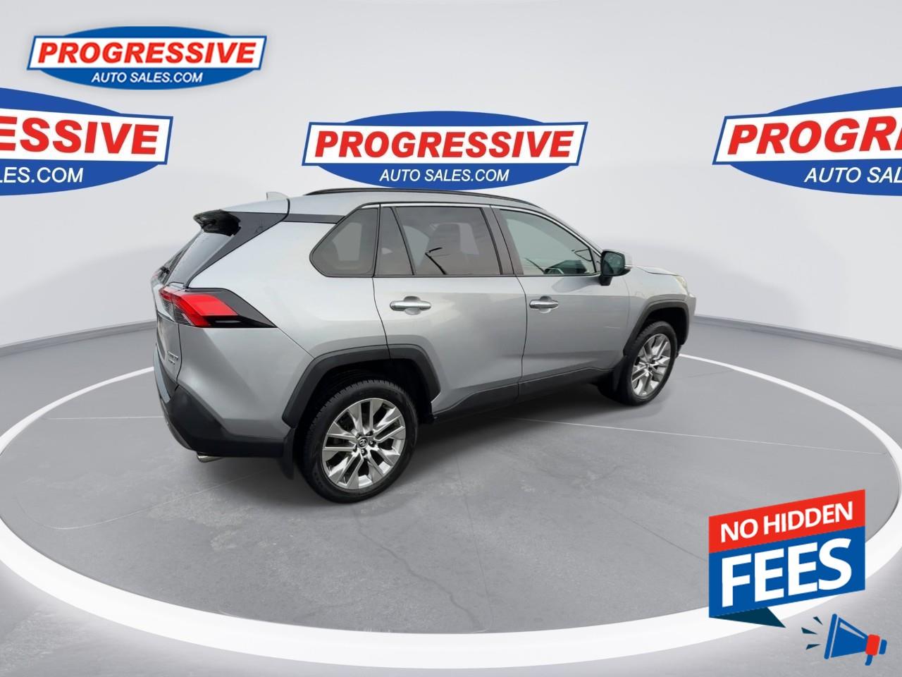 2019 Toyota RAV4 LIMITED  Photo