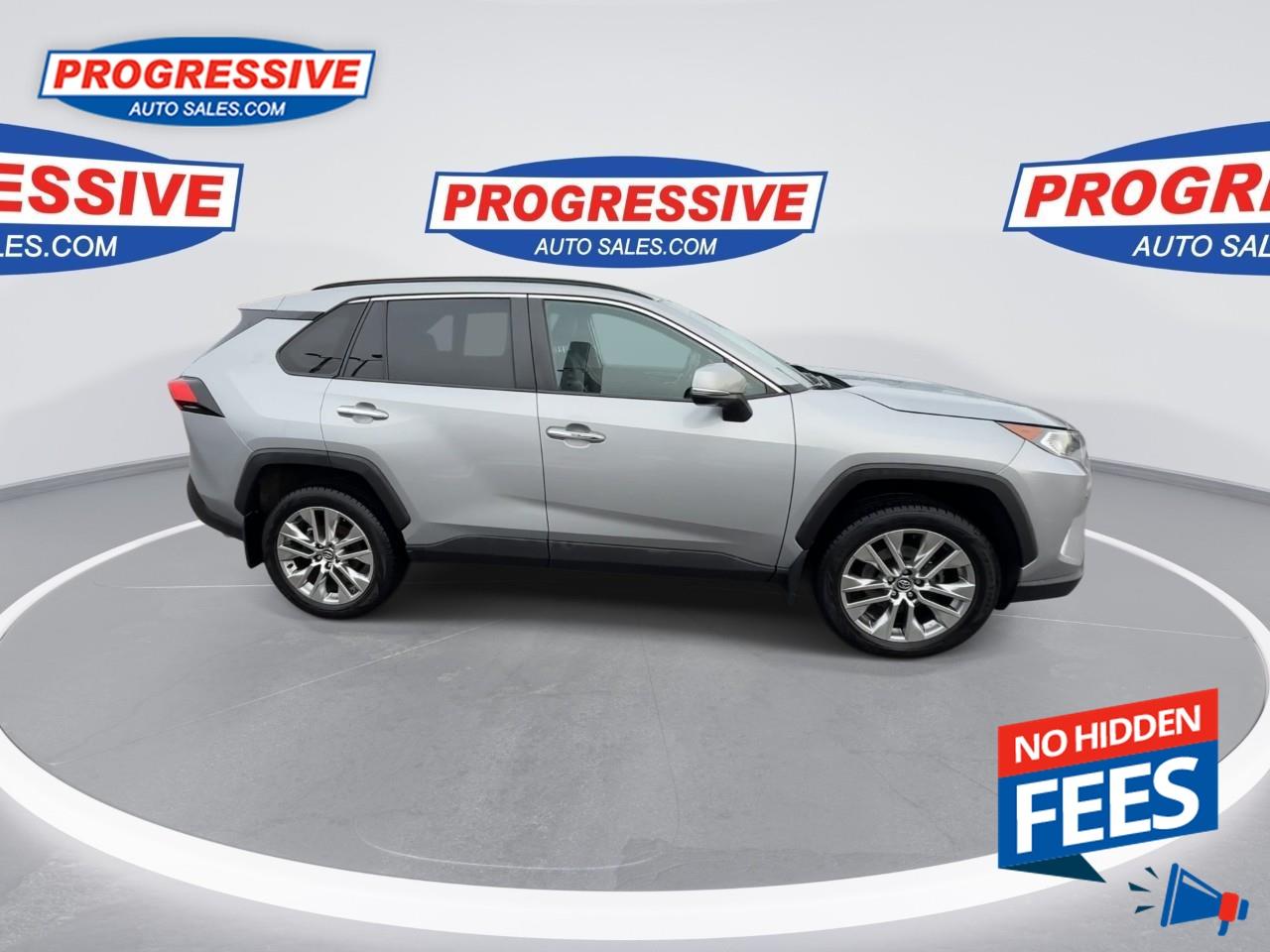 2019 Toyota RAV4 LIMITED  Photo