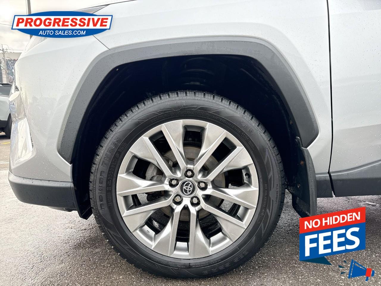 2019 Toyota RAV4 LIMITED  Photo