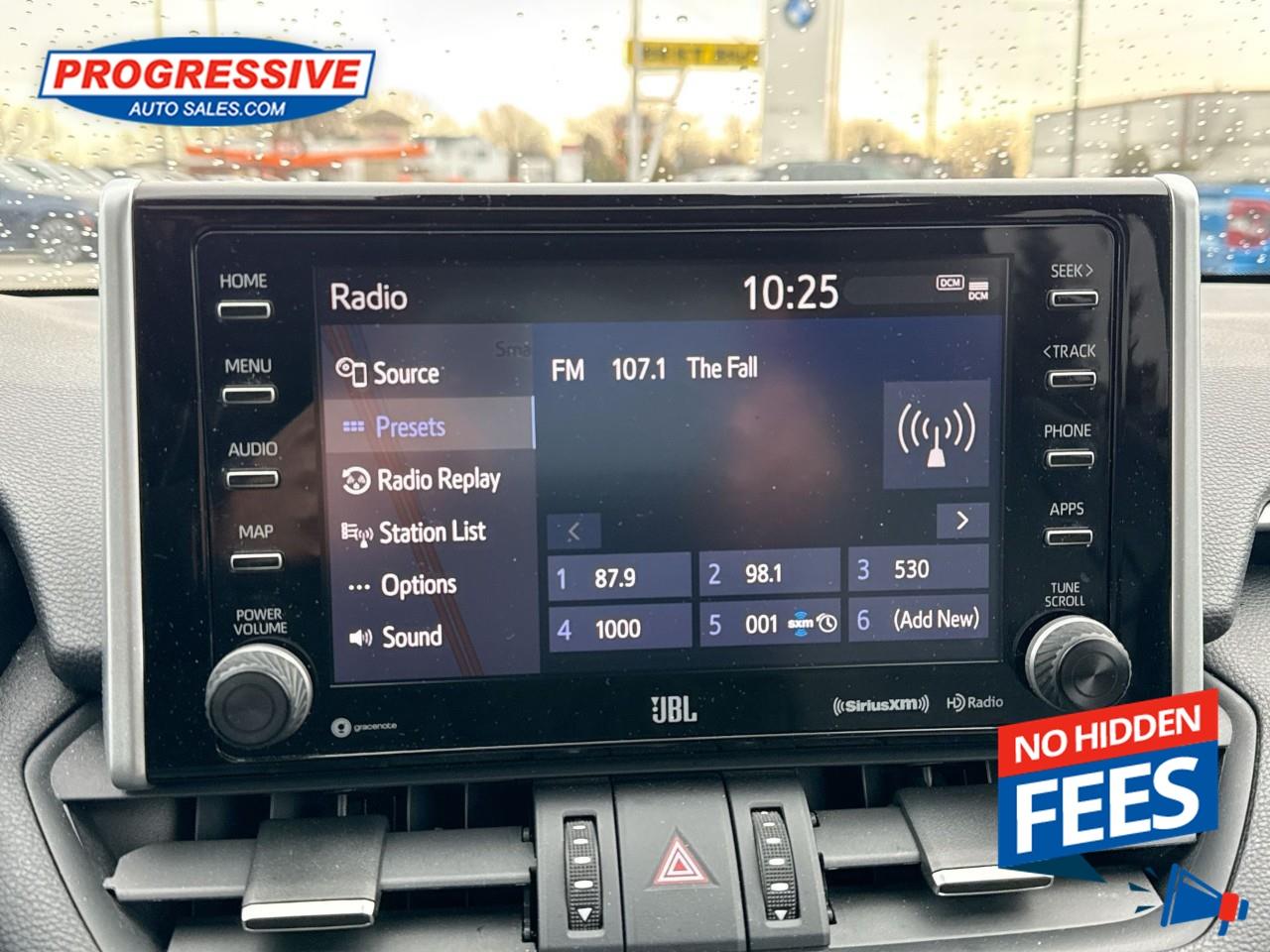 2019 Toyota RAV4 LIMITED  Photo