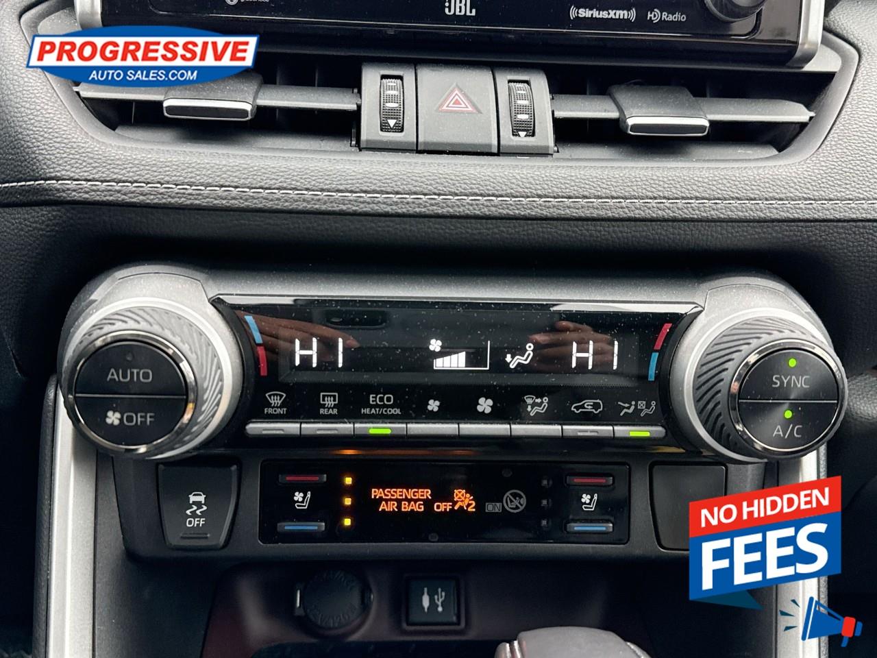 2019 Toyota RAV4 LIMITED  Photo