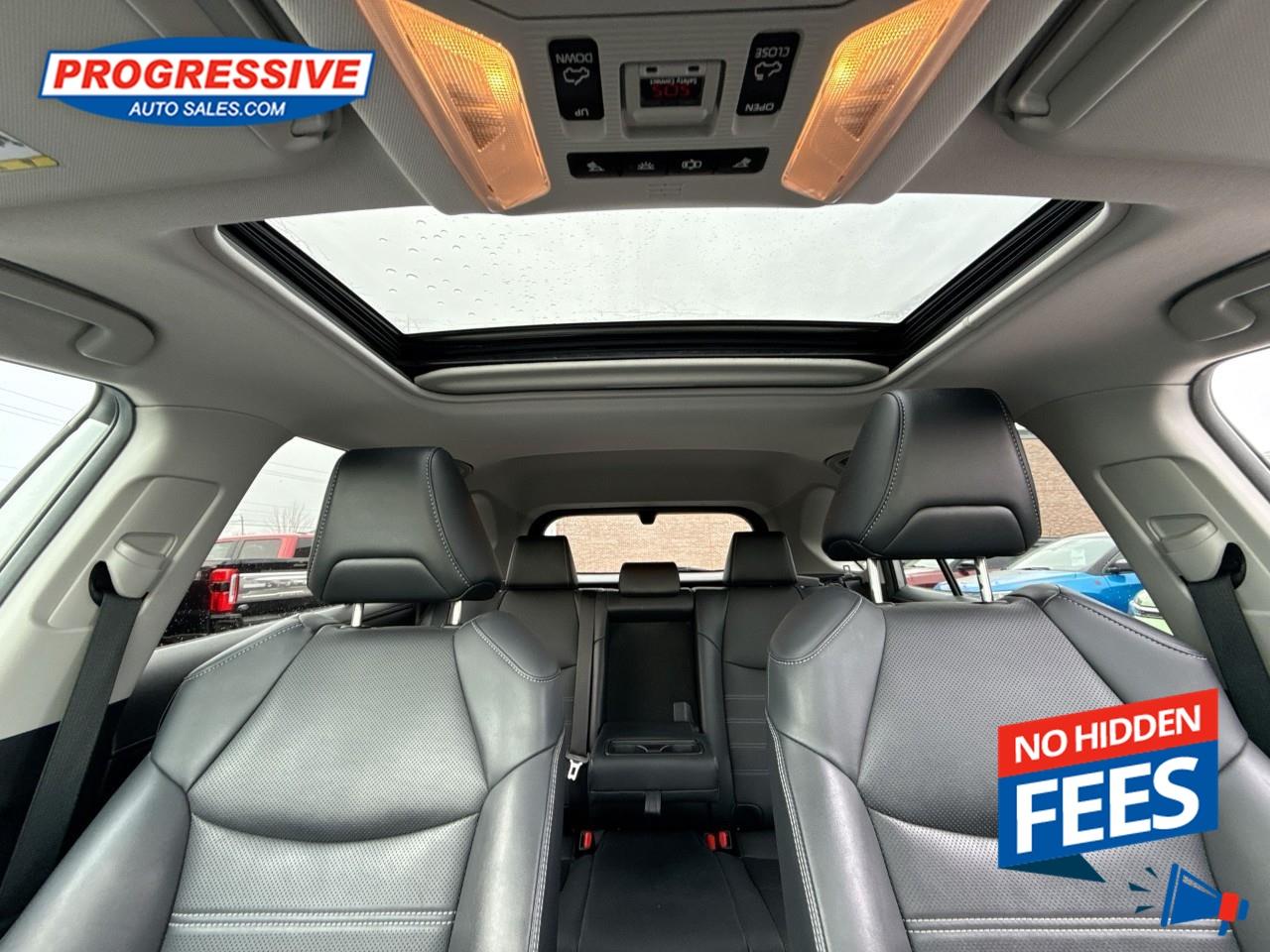 2019 Toyota RAV4 LIMITED  Photo