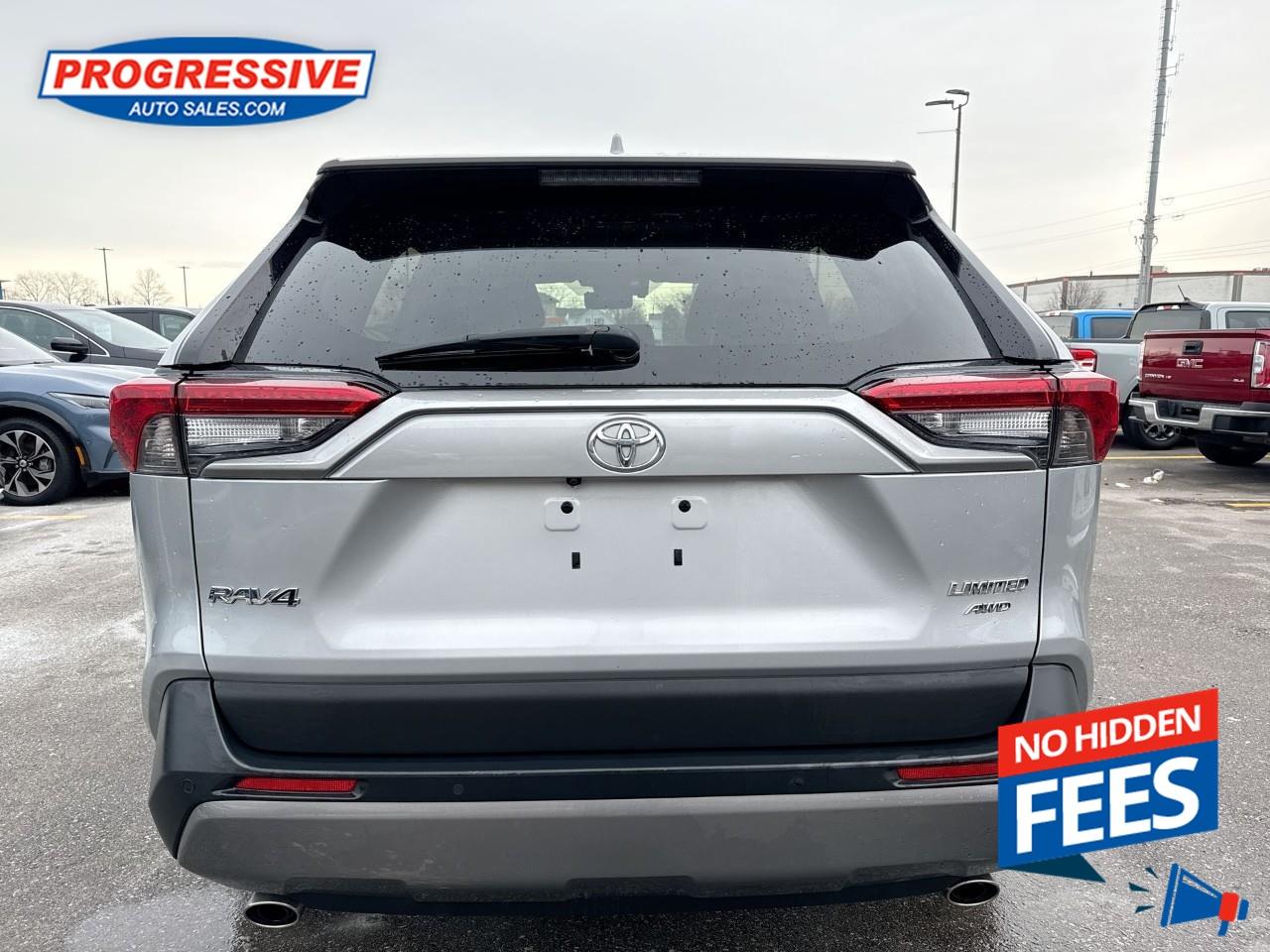 2019 Toyota RAV4 LIMITED  Photo