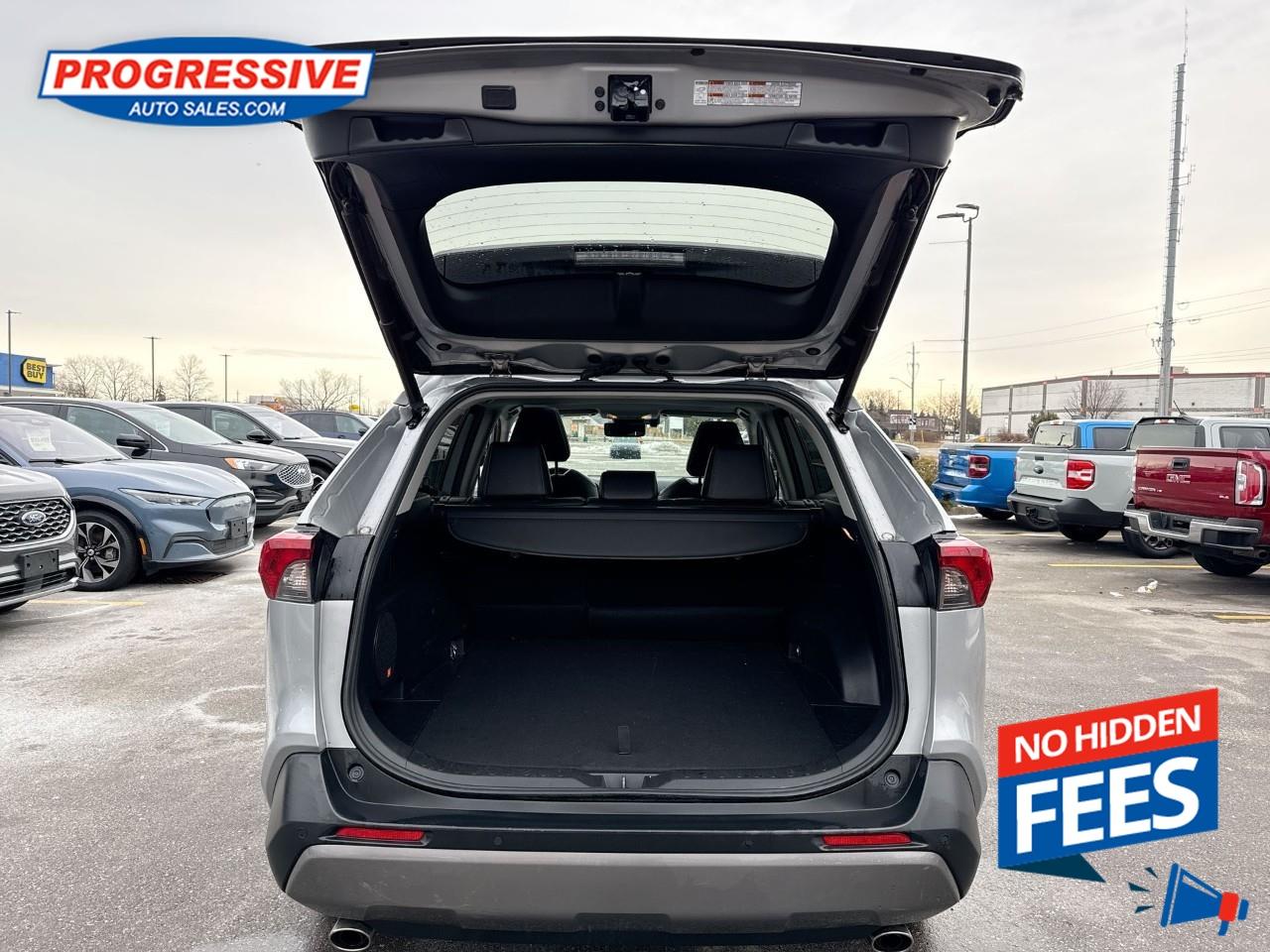 2019 Toyota RAV4 LIMITED  Photo