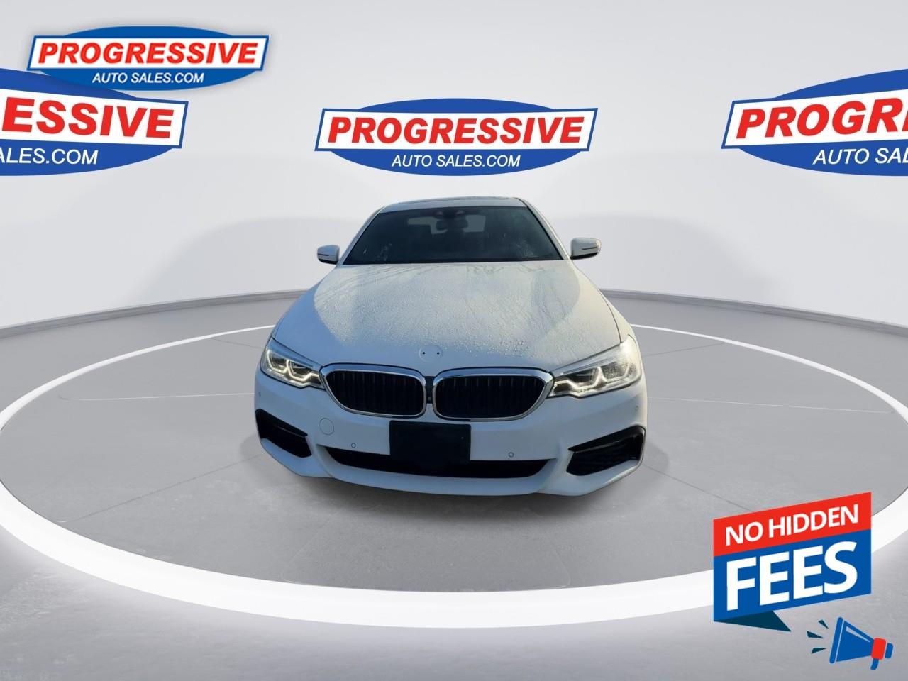 2018 BMW 530 e xDrive iPerformance Photo