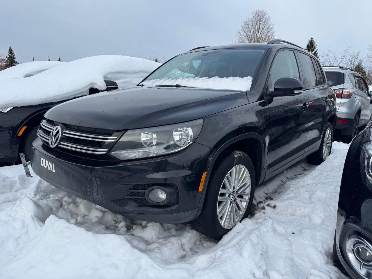 2015 Volkswagen Tiguan Special Edition Photo2