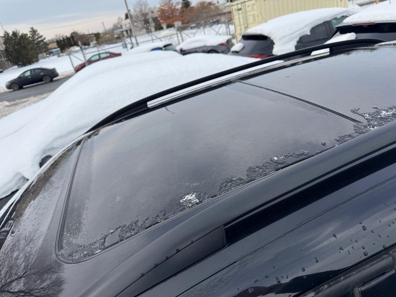 2015 Volkswagen Tiguan Special Edition Photo4