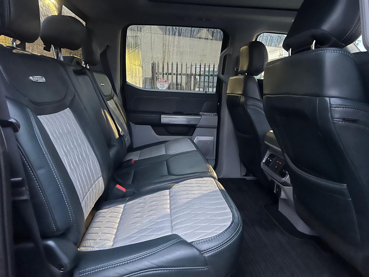 2023 Ford SUPER DUTY F-350 SRW Limited Photo10