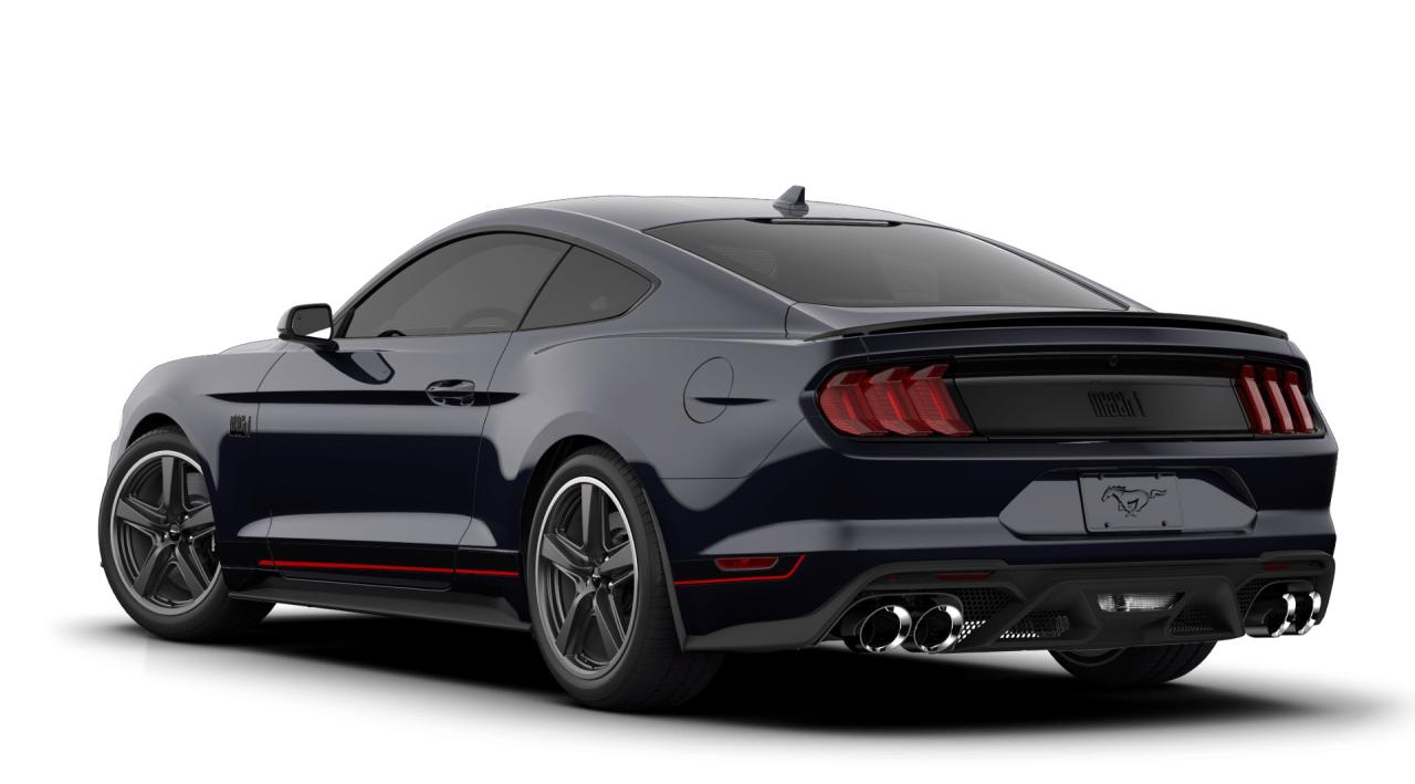 2021 Ford MUSTANG MACH I Photo1