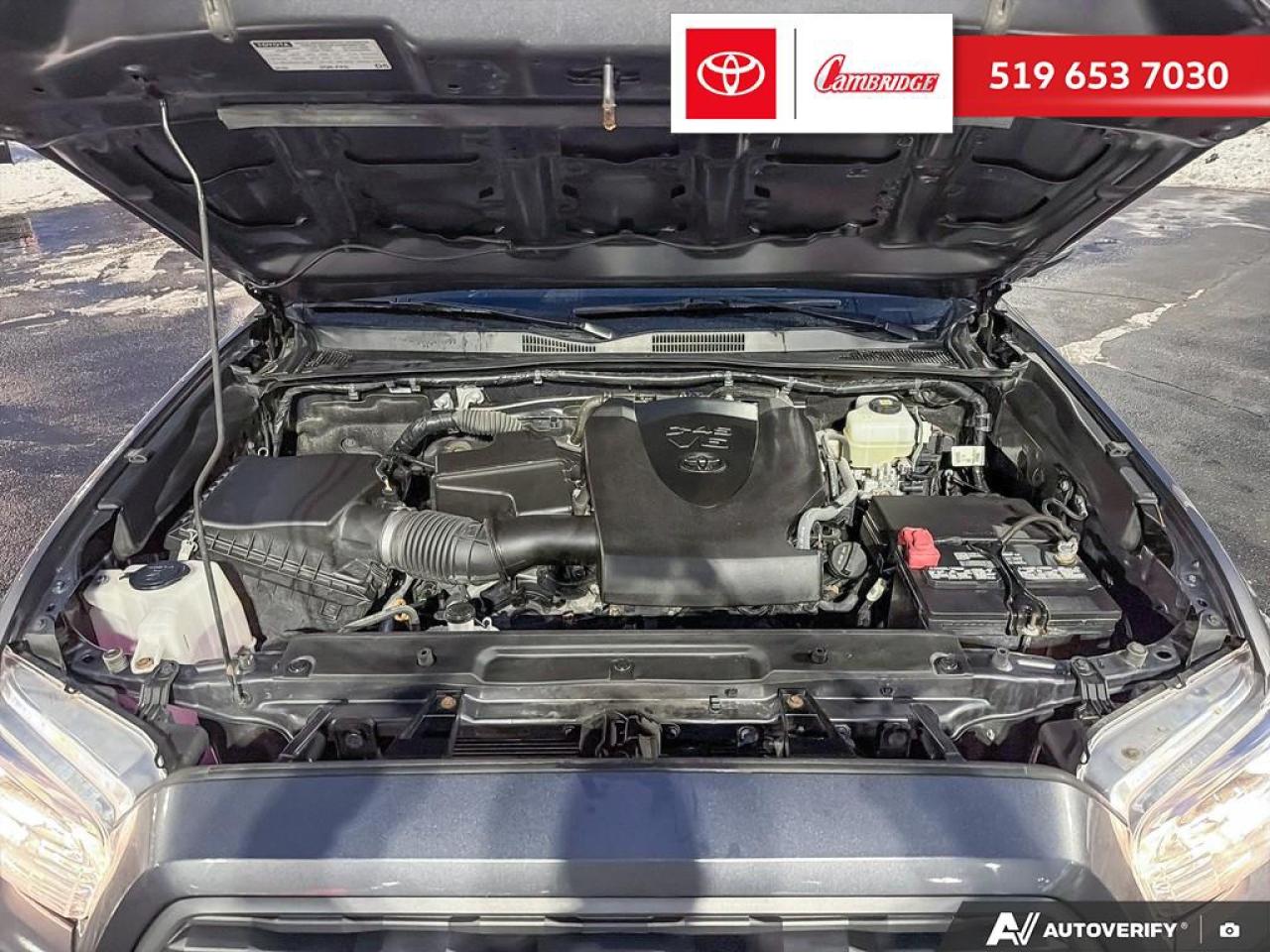 2021 Toyota Tacoma  Photo