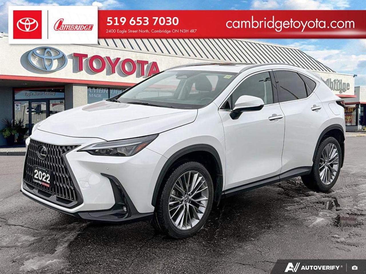 2022 Lexus NX 350  Photo