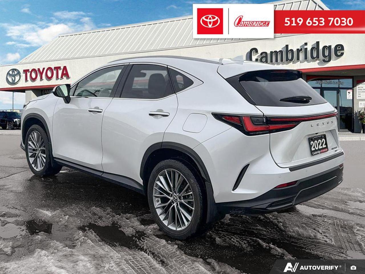 2022 Lexus NX 350  Photo3