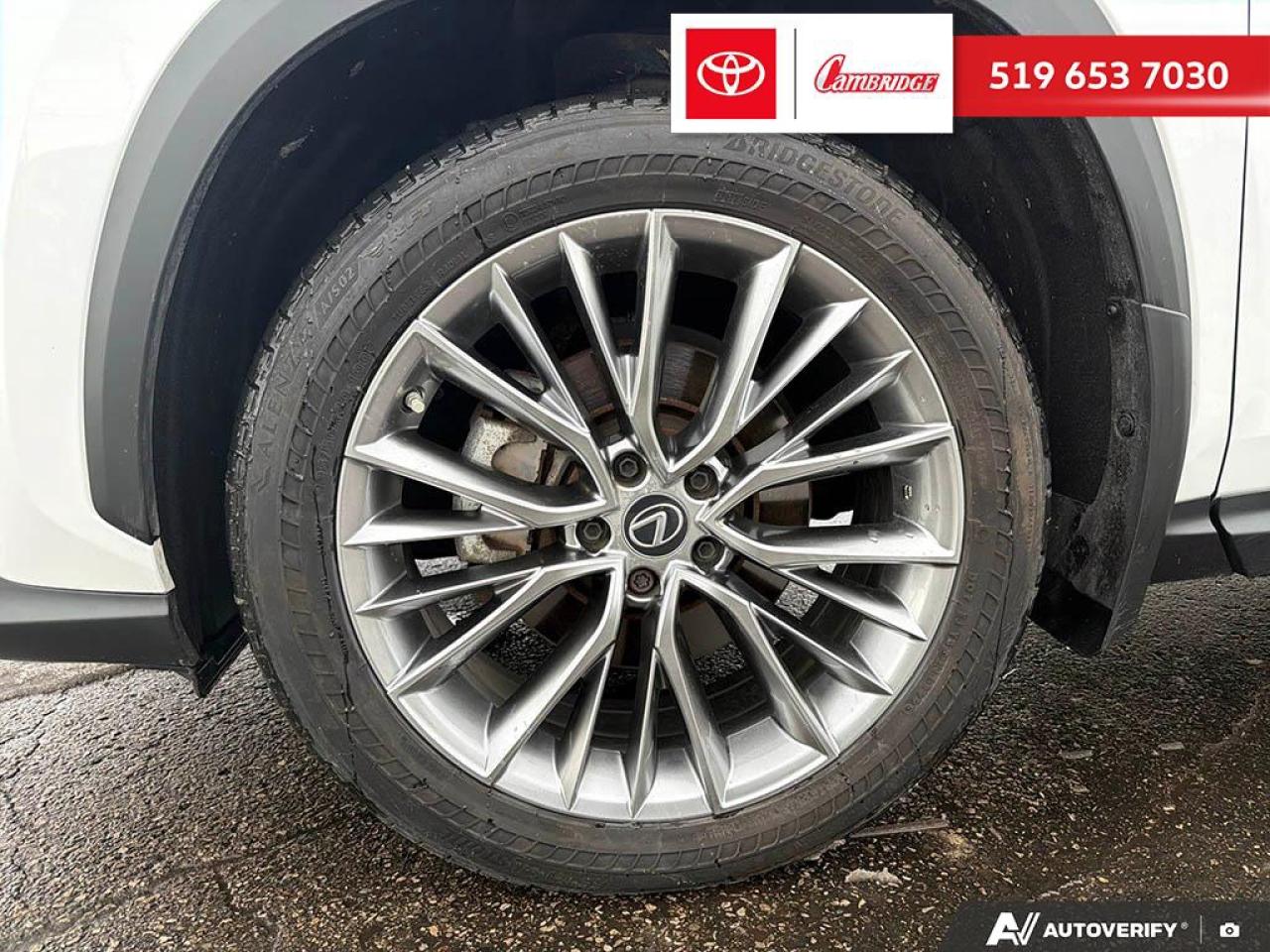 2022 Lexus NX 350  Photo