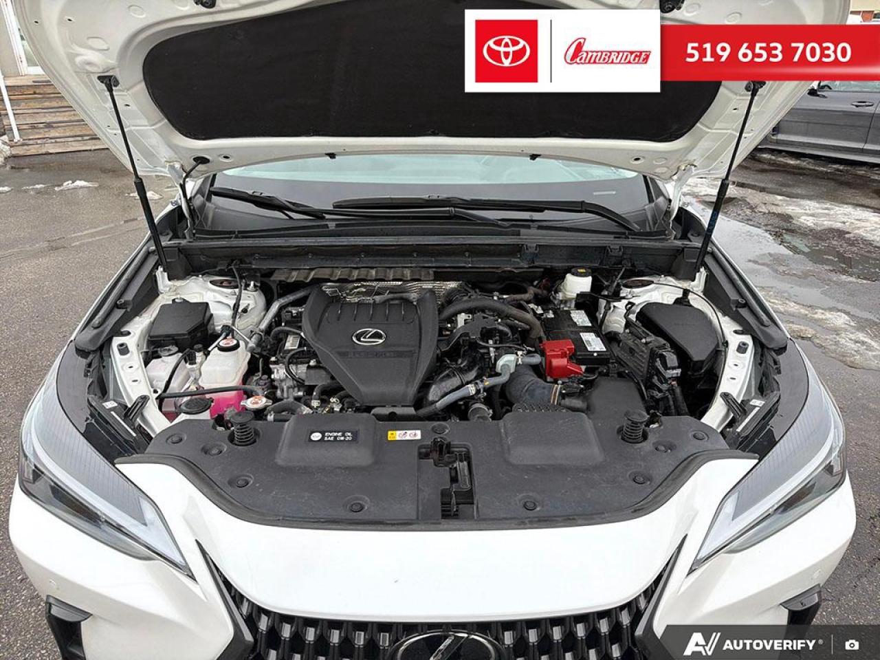 2022 Lexus NX 350  Photo