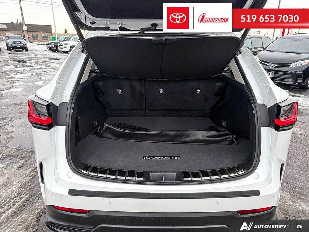 2022 Lexus NX 350  Photo