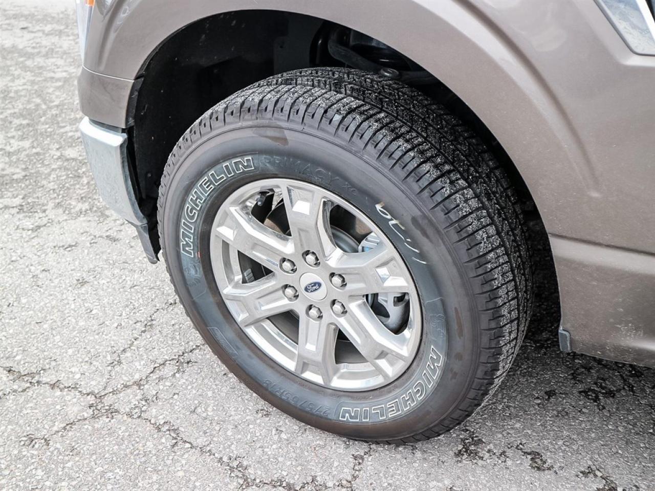 2021 Ford F-150 XLT 4WD SuperCrew 6.5' Box Photo