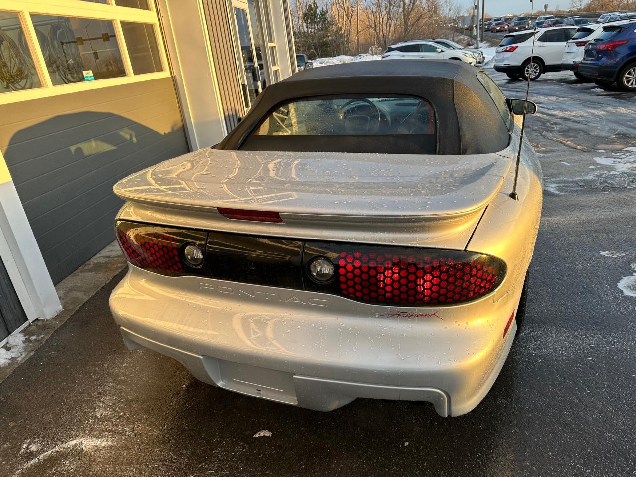 1999 Pontiac Firebird Trans Am Photo