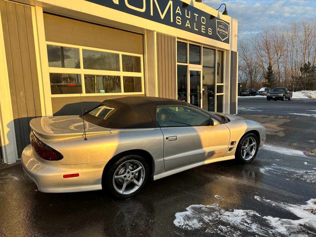 1999 Pontiac Firebird Trans Am Photo