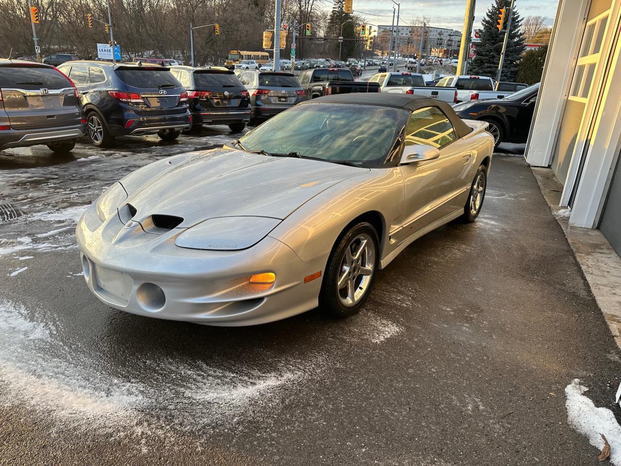 1999 Pontiac Firebird Trans Am Photo2