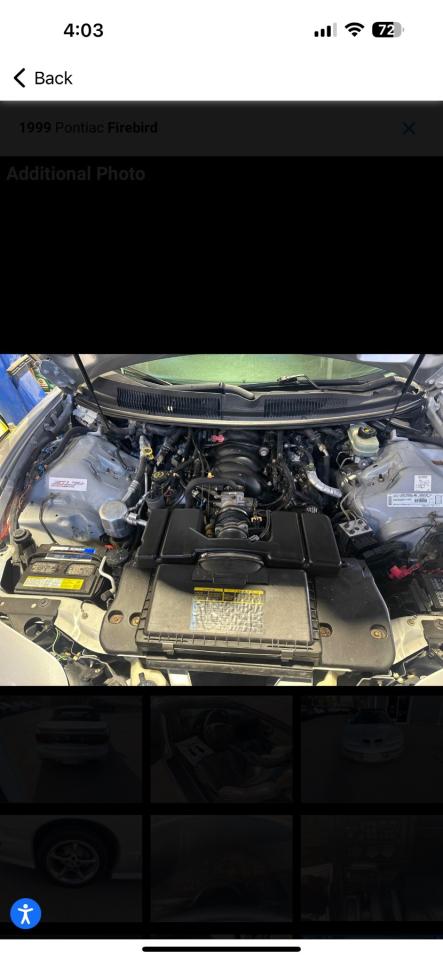 1999 Pontiac Firebird Trans Am Photo