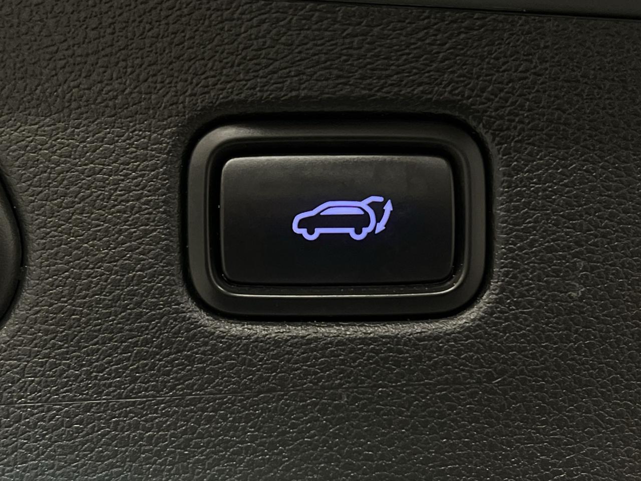 2017 Hyundai Tucson LIMITED AWD | TURBO | LEATHER |PANO ROOF | CARPLAY Photo