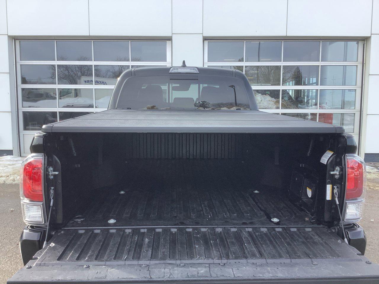 2023 Toyota Tacoma  Photo