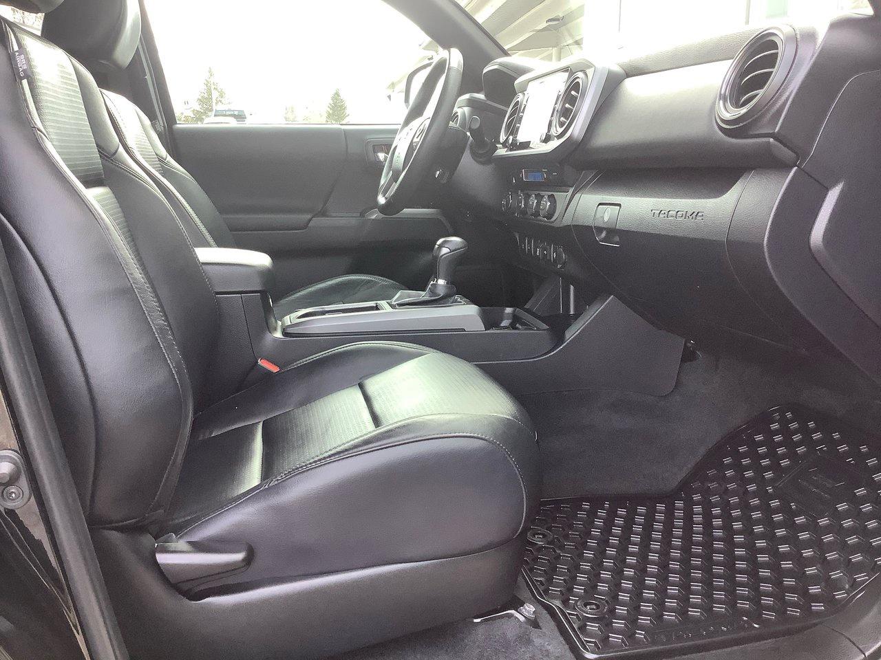 2023 Toyota Tacoma  Photo