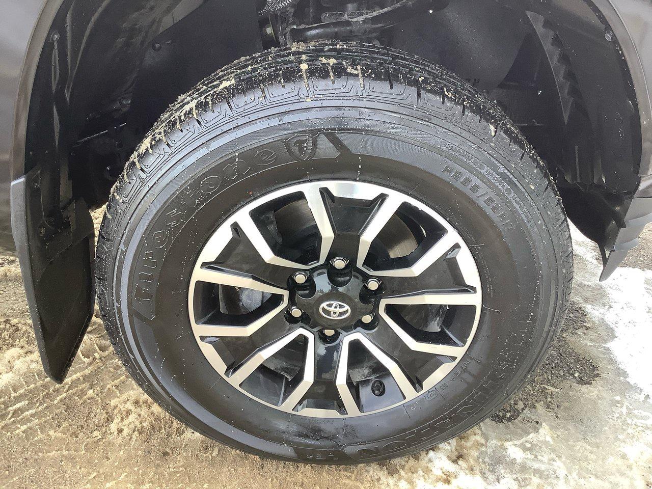 2023 Toyota Tacoma  Photo