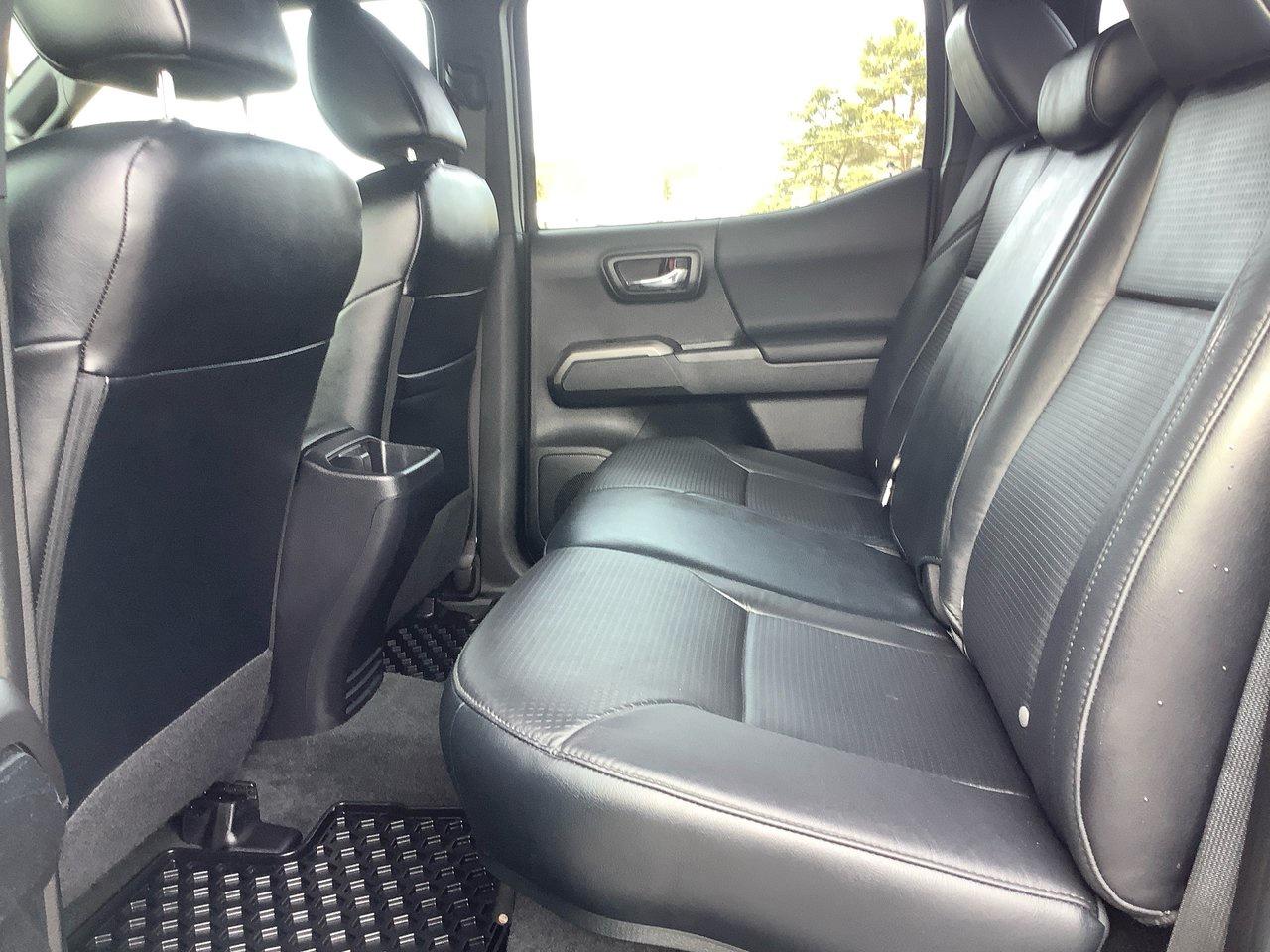 2023 Toyota Tacoma  Photo