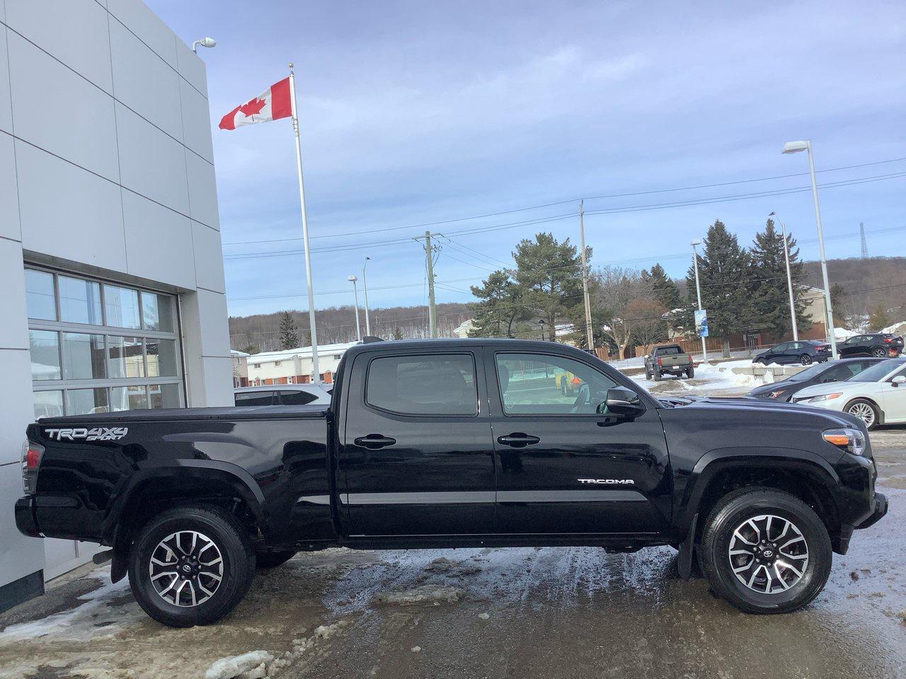 2023 Toyota Tacoma  Photo