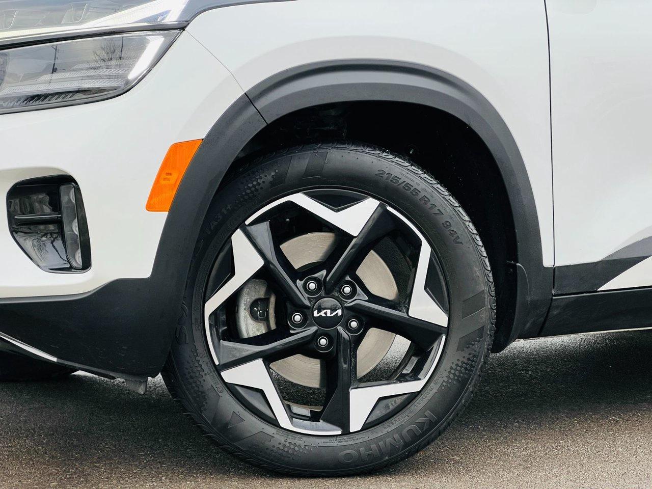 2025 Kia Seltos EX PREMIUM AWD Photo