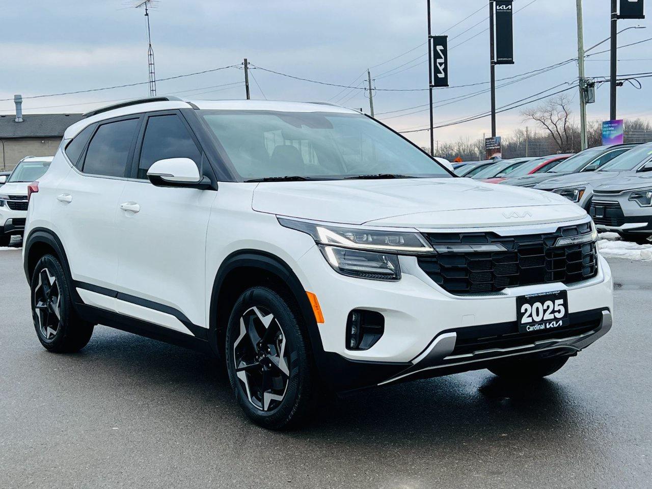 2025 Kia Seltos EX PREMIUM AWD Photo