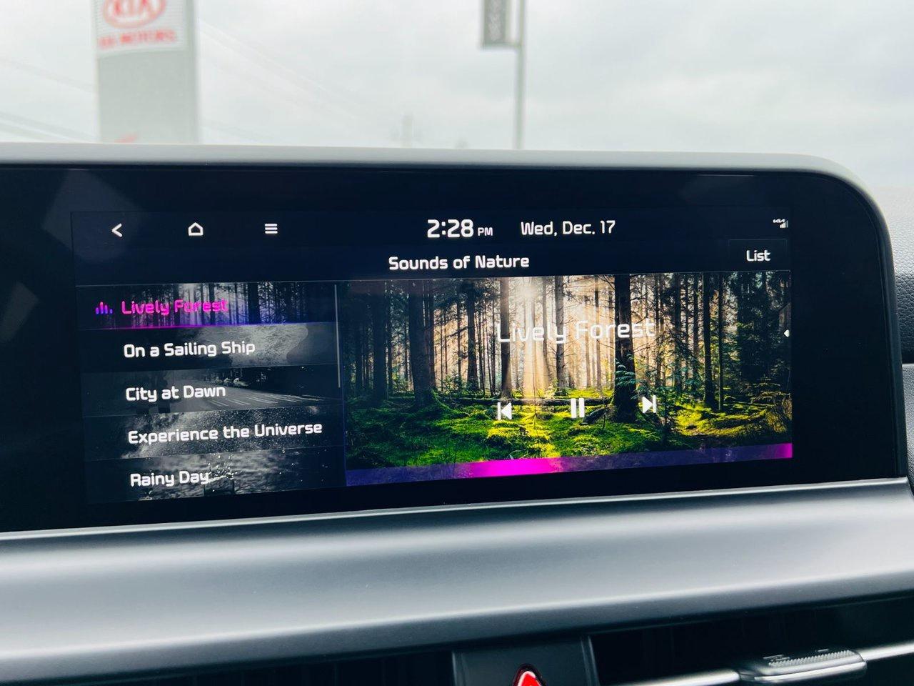 2025 Kia Seltos EX PREMIUM AWD Photo