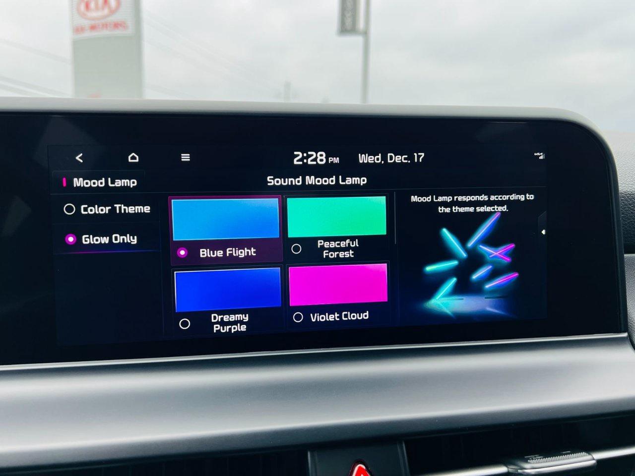 2025 Kia Seltos EX PREMIUM AWD Photo