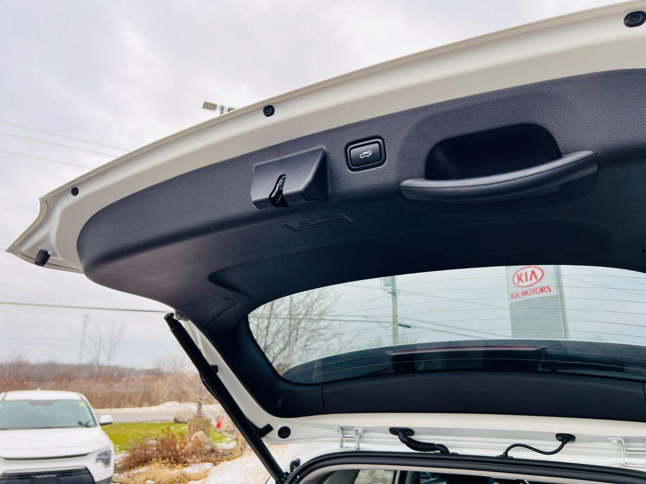 2025 Kia Seltos EX PREMIUM AWD Photo