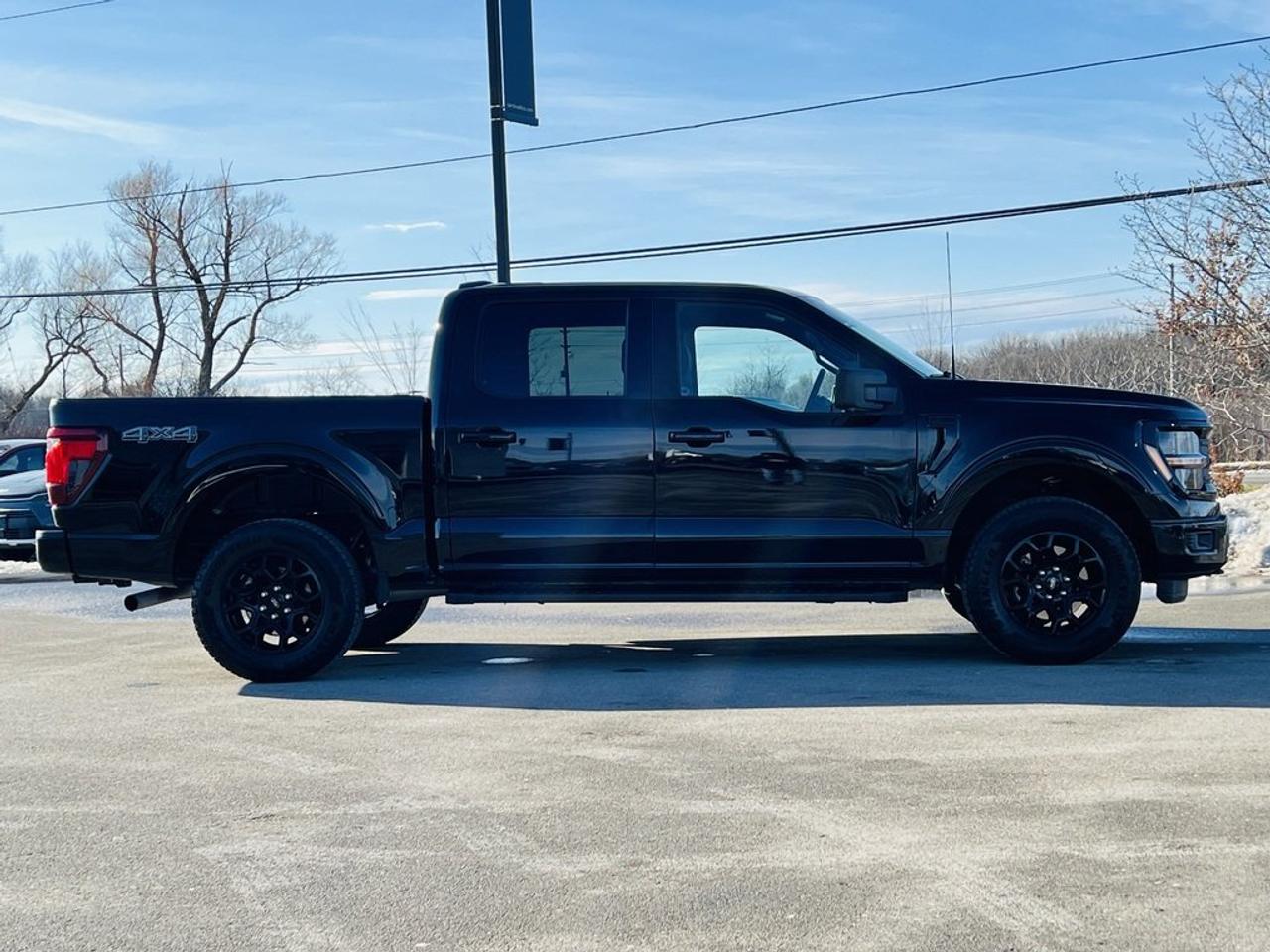 2024 Ford F-150 XLT Photo