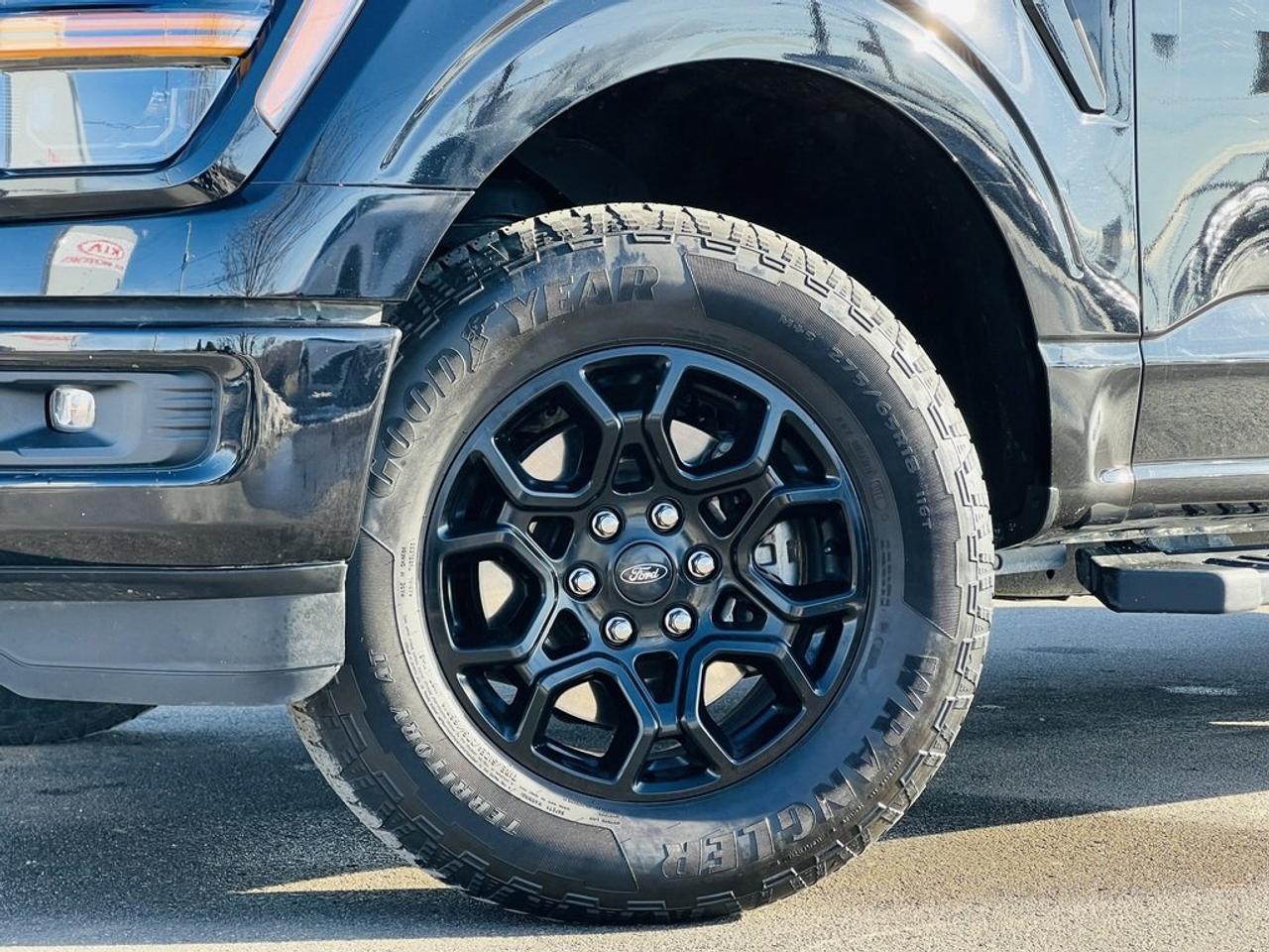 2024 Ford F-150 XLT Photo