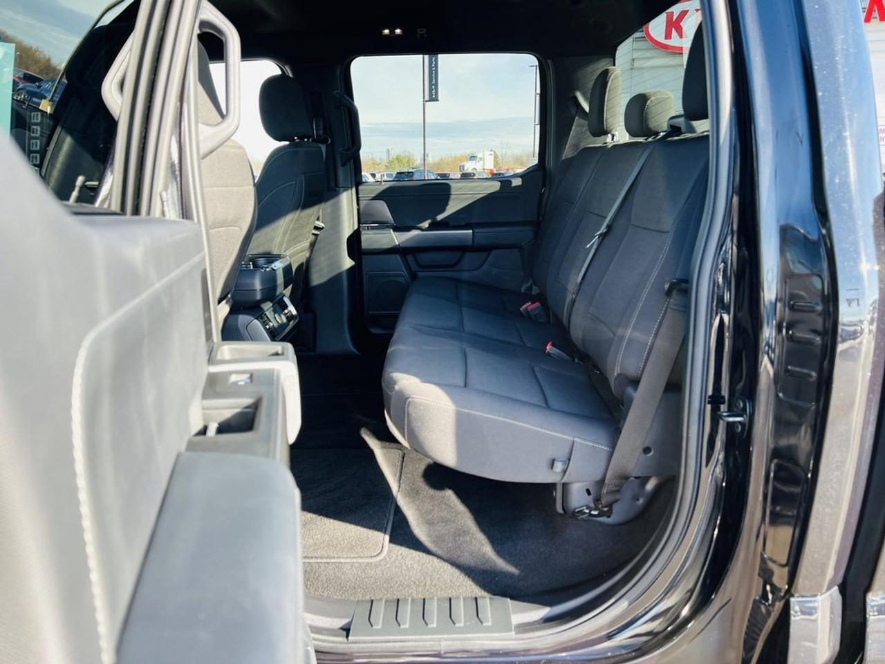 2024 Ford F-150 XLT Photo