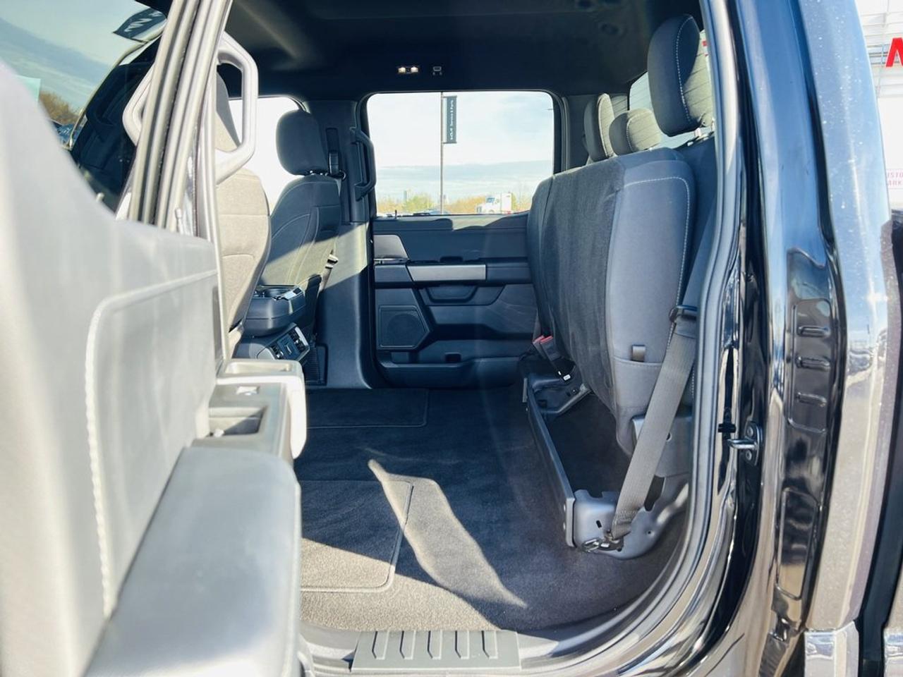 2024 Ford F-150 XLT Photo